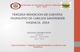 SECRETARIA DE HACIENDA CARCASI SANTANDER 2012 - 2015 TERCERA RENDICION DE CUENTAS MUNICIPIO DE CARCASI SANTANDER VIGENCIA 2014 “CON VOLUNTAD Y TRABAJO.
