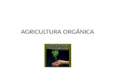 AGRICULTURA ORGÁNICA. La agricultura orgánica es un sistema de producción que trata de utilizar al máximo los recursos de la finca, dándole énfasis a.