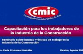 1 Dra. Perla Cristerna Montúfar México, Agosto 2003 Capacitación para los trabajadores de la Industria de la Construcción Seminario sobre buenas Prácticas.