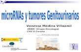 Vanessa Medina Villaamil INIBIC (Grupo Oncología) CHU A Coruña.