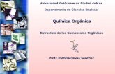 Universidad Autónoma de Ciudad Juárez Departamento de Ciencias Básicas Química Orgánica Prof.: Patricia Olivas Sánchez Estructura de los Compuestos Orgánicos.