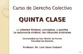 Curso de Derecho Colectivo QUINTA CLASE La Libertad Sindical, conceptos, y aportes La autonomía sindical, las cláusulas sindicales Universidad de San Martín.