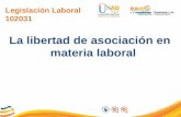 Legislación Laboral 102031 La libertad de asociación en materia laboral.