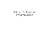1 SQL en Entorno de Programación. 2 Motivación: SQL Interactivo vs. No Interactivo Hasta la fecha hemos considerado sólo consultas SQL en las que tecleamos.