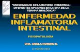 “ENFERMEDAD INFLAMATORIA INTESTINAL: DIFERENTES OPCIONES EN LA ERA DE LA TERAPIA BIOLÓGICA” 12 MARZO 2010 12 MARZO 2010 FISIOPATOLOGÍA.
