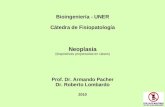 Bioingeniería - UNER Cátedra de Fisiopatología Neoplasia (diapositivas proyectadas en clases) Prof. Dr. Armando Pacher Dr. Roberto Lombardo 2010.