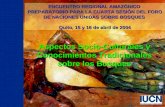 ENCUENTRO REGIONAL AMAZÓNICO PREPARATORIO PARA LA CUARTA SESIÓN DEL FORO DE NACIONES UNIDAS SOBRE BOSQUES Quito, 15 y 16 de abril de 2004 Aspectos Socio-Culturales.