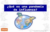 ¿Qué es una pandemia de influenza? Material elaborado por la Dirección General de Promoción de la Salud Septiembre 2006.