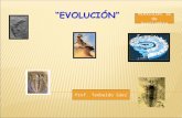 “EVOLUCIÓN” Miércoles 30 de Septiembre Prof. Teobaldo Sáez.