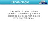 El estudio de la estructura, química, bioquímica y función biológica de los carbohidratos complejos (glicanos). Glicobiologia.