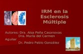 IRM en la Esclerosis Múltiple Autores: Dra. Aisa Peña Casanovas Dra. María del Carmen Aguilar Dra. María del Carmen Aguilar Dr. Pedro Pablo González Dr.