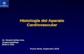 Histología del Aparato Cardiovascular Dr. Ricardo Molina Urra Anatomopatólogo BCM II; USS Puerto Montt, Septiembre 2010.