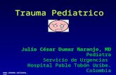 Www.reeme.arizona.edu Trauma Pediatrico Julio César Dumar Naranjo, MD Pediatra Servicio de Urgencias Hospital Pablo Tobón Uribe. Colombia.