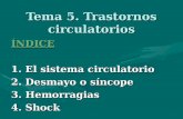 Tema 5. Trastornos circulatorios ÍNDICE 1. El sistema circulatorio 2. Desmayo o síncope 3. Hemorragias 4. Shock.