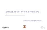 Estructura del sistema operativo Sebastián Sánchez Prieto.