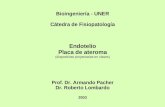 Bioingeniería - UNER Cátedra de Fisiopatología Endotelio Placa de ateroma (diapositivas proyectadas en clases) Prof. Dr. Armando Pacher Dr. Roberto Lombardo.