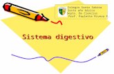 Sistema digestivo Colegio Santa Sabina Sexto año básico Depto. De Ciencias Prof. Paulette Rivera F.
