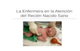 La Enfermera en la Atención del Recién Nacido Sano.