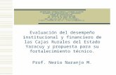 Evaluación del desempeño institucional y financiero de las Cajas Rurales del Estado Yaracuy y propuesta para su fortalecimiento técnico. Prof. Nerio Naranjo.