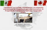 "Jornaleros" en Canadá: Globalización y la migración internacional de trabajadores agrícolas mexicanos: El Programa de Trabajadores Agrícolas Temporales.