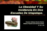 La Obesidad Y Su Incidencia En Dos Escuelas De Iztapalapa. Carmen Adriana García García Médico Pasante del Servicio Social U N A M.