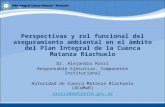 Perspectivas y rol funcional del aseguramiento ambiental en el ámbito del Plan Integral de la Cuenca Matanza Riachuelo Dr. Alejandro Rossi Responsable.