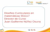 Diseños Curriculares en matemáticas 551117 Director de Curso Juan Guillermo Núñez Osuna.