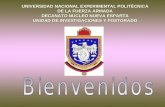UNIVERSIDAD NACIONAL EXPERIMENTAL POLITÉCNICA DE LA FUERZA ARMADA DECANATO NÚCLEO NUEVA ESPARTA UNIDAD DE INVESTIGACIONES Y POSTGRADO.