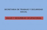 SECRETARIA DE TRABAJO Y SEGURIDAD SOCIAL SALUD Y SEGURIDAD OCUPACIONAL.