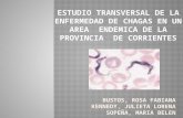 ESTUDIO TRANSVERSAL DE LA ENFERMEDAD DE CHAGAS EN UN AREA ENDEMICA DE LA PROVINCIA DE CORRIENTES.