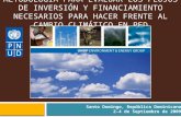 METODOLOGÍA PARA EVALUAR LOS FLUJOS DE INVERSIÓN Y FINANCIAMIENTO NECESARIOS PARA HACER FRENTE AL CAMBIO CLIMÁTICO EN PED Santo Domingo, República Dominicana.