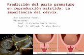 Predicción del parto prematuro en reproducción asistida: La importancia del cérvix. Ana Casanova Fuset Directores: Prof. D.Vicente Serra Serra. Prof. D.