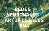 TEORÍA MODERNA DE LA FIRMA1. 2 RNA SOLUCIÓN PROBLEMAS COMPLEJOS RECONOCIMIEN TO DE FORMAS Y PATRONES CONTROL Y OPTIMIZACIÓN PREDICCIÓN Y CODIFICACIÓN.