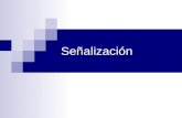 Señalización API 20042 Temario Introducción Señalización entre Abonado - Central y entre Centrales Tipos Señalización SS7 (Signalling System Number 7)