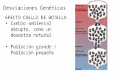 Desviaciones Genéticas EFECTO CUELLO DE BOTELLA Cambio ambiental abrupto, como un desastre natural Población grande / Población pequeña.