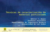21 de Octubre de 2004 Coloquio Material particulado y salud Técnicas de caracterización de material particulado Néstor Y. Rojas Profesor Asistente Departamento.