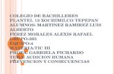 COLEGIO DE BACHILLERES PLANTEL 13 XOCHIMILCO TEPEPAN ALUMNOS: MARTINEZ RAMIREZ LUIS ALBERTO PEREZ MORALES ALEXIS RAFAEL GRUPO:303 EQUIPO:4 MATERIA:TIC.