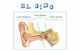El oído está encargado de la audición y del equilibrio. Se divide en : Oído externo, oído medio y oído interno