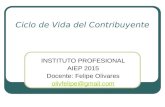 Ciclo de Vida del Contribuyente INSTITUTO PROFESIONAL AIEP 2015 Docente: Felipe Olivares olivfelipe@gmail.com.