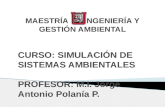 CURSO: SIMULACIÓN DE SISTEMAS AMBIENTALES PROFESOR: M.I. Jorge Antonio Polanía P.