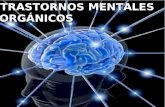 Trastornos Mentales Orgánicos  TRASTORNOS MENTALES ORGÁNICOS.