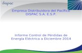 Empresa Distribuidora del Pacífico DISPAC S.A. E.S.P. Informe Control de Pérdidas de Energía Eléctrica a Diciembre 2014.