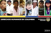 Situación DDHH en Colombia CIFRAS SITUACIÓN DE DERECHOS HUMANOS Violación20022003VARIACIÓN Homicidios 28,83723,031-20% Homicidios de sindicalistas 12154-55%