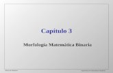 Visión de Máquina Ingeniería en Automática Industrial Capítulo 3 Morfología Matemática Binaria.
