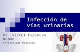 Infección de vías urinarias Dr. Víctor Espinoza Román Infectólogo Pediatra.