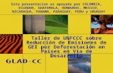 Taller de UNFCCC sobre Reducción de Emisiones de GEI por Deforestación en Países en Vía de Desarrollo Esta presentacion es apoyada por COLOMBIA, ECUADOR,