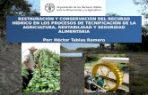 RESTAURACIÓN Y CONSERVACIÓN DEL RECURSO HÍDRICO EN LOS PROCESOS DE TECNIFICACIÓN DE LA AGRICULTURA, RENTABILIDAD Y SEGURIDAD ALIMENTARIA Por: Héctor Tablas.