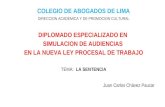 COLEGIO DE ABOGADOS DE LIMA DIRECCION ACADEMICA Y DE PROMOCION CULTURAL DIPLOMADO ESPECIALIZADO EN SIMULACION DE AUDIENCIAS EN LA NUEVA LEY PROCESAL DE.