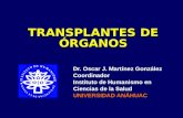 TRANSPLANTES DE ÓRGANOS Dr. Oscar J. Martínez González Coordinador Instituto de Humanismo en Ciencias de la SaludHumanismo UNIVERSIDAD ANÁHUAC.