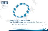 Master y Especialidad en Estudios de la Integración Europea Mtro. Dirk Zavala Rubach EL MERCADO INTERIOR II.